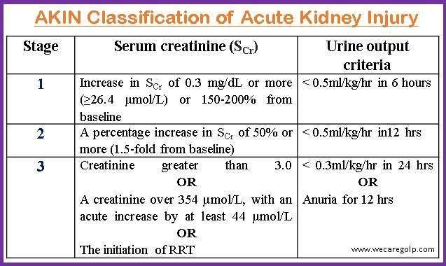 Is Aki Hayakawa Stronger Than Kyojuro Rengoku in a Fight?